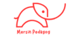 Mersin Pedagog